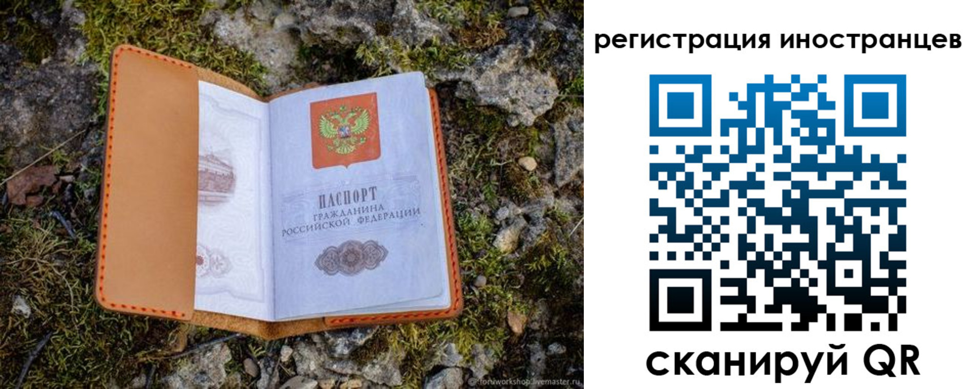 прописка паспорт в Курской области