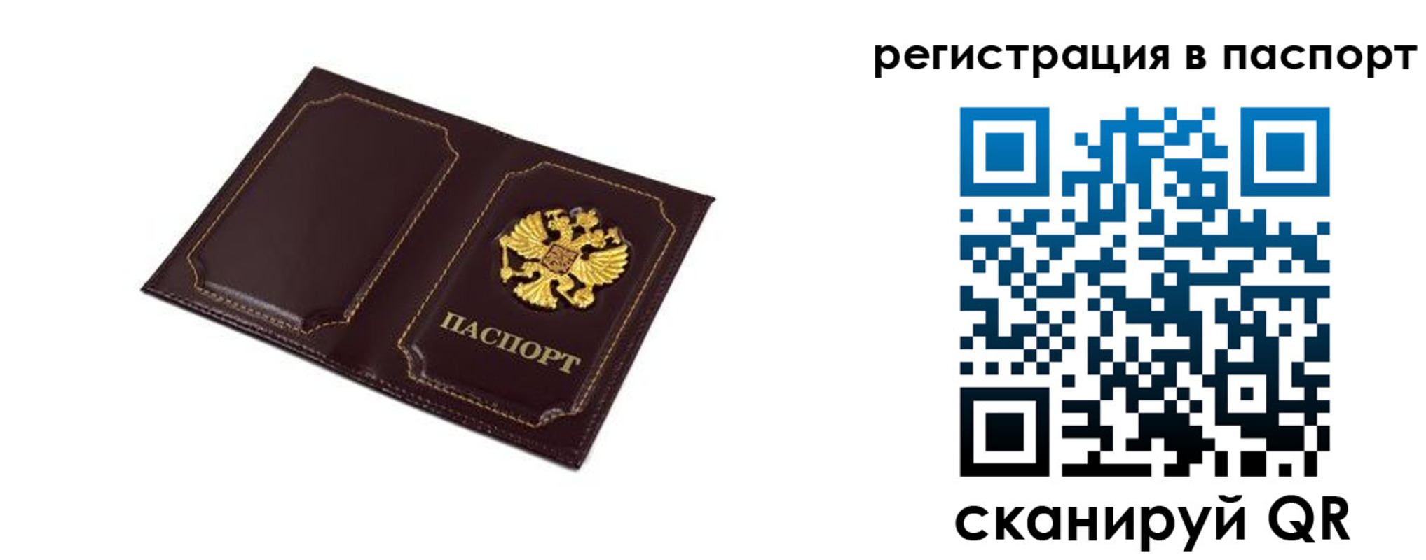 миграционный учет в Курской области